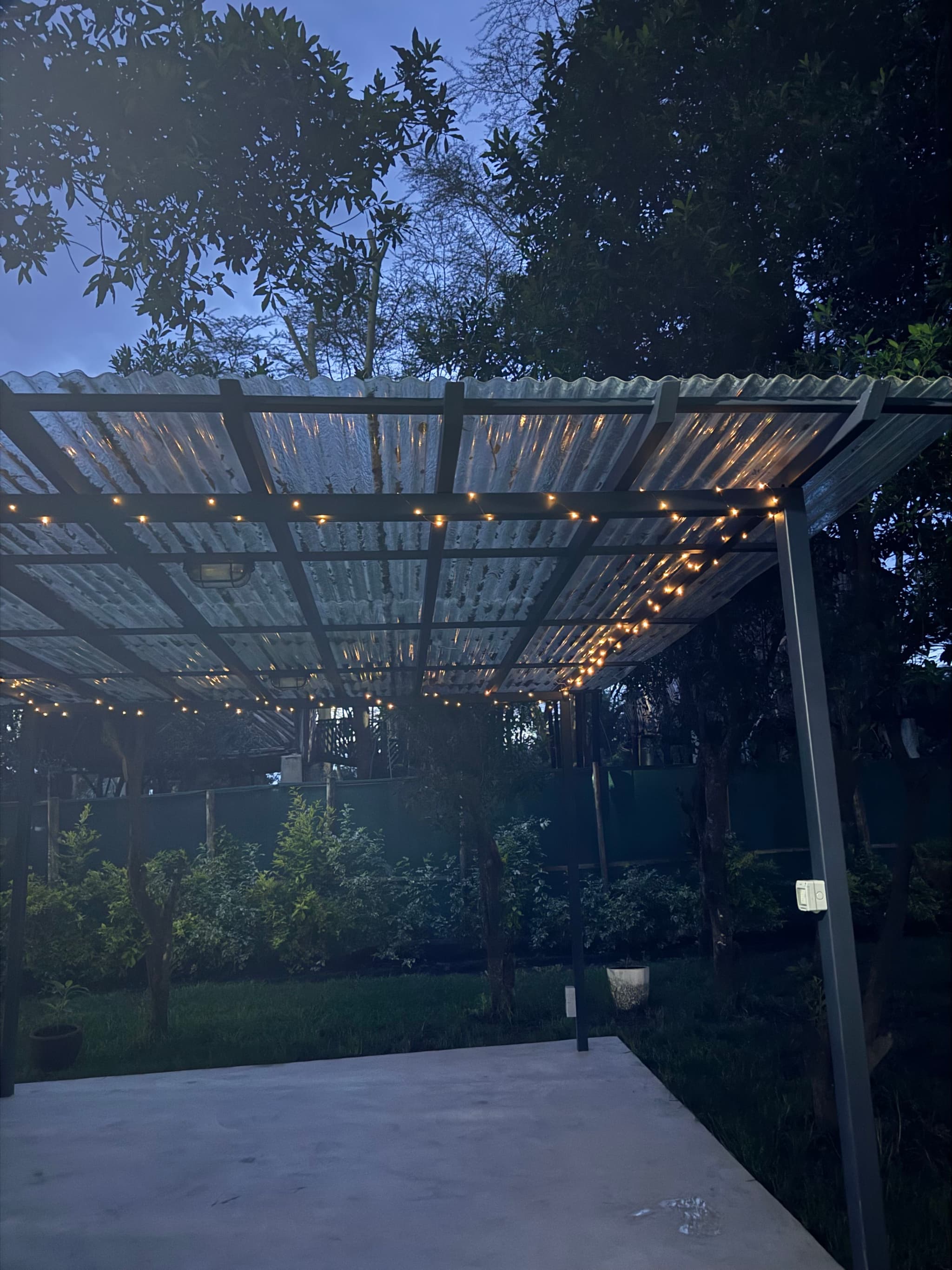 ELI Lights